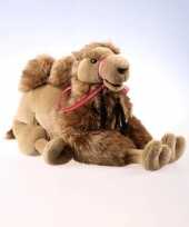 Baby kameel knuffel pluche